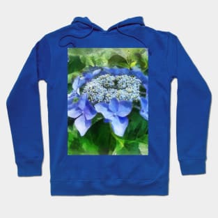 Blue Lace Cap Hydrangea Let's Dance Starlight Hoodie